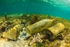 environnement, défis de pêche