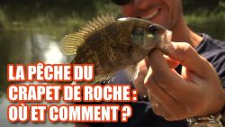 crapet de roche