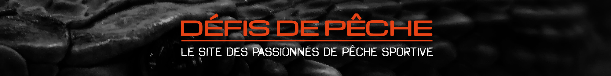 Défis de Pêche