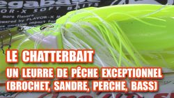 chatterbait