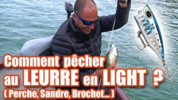 2017-peche-light