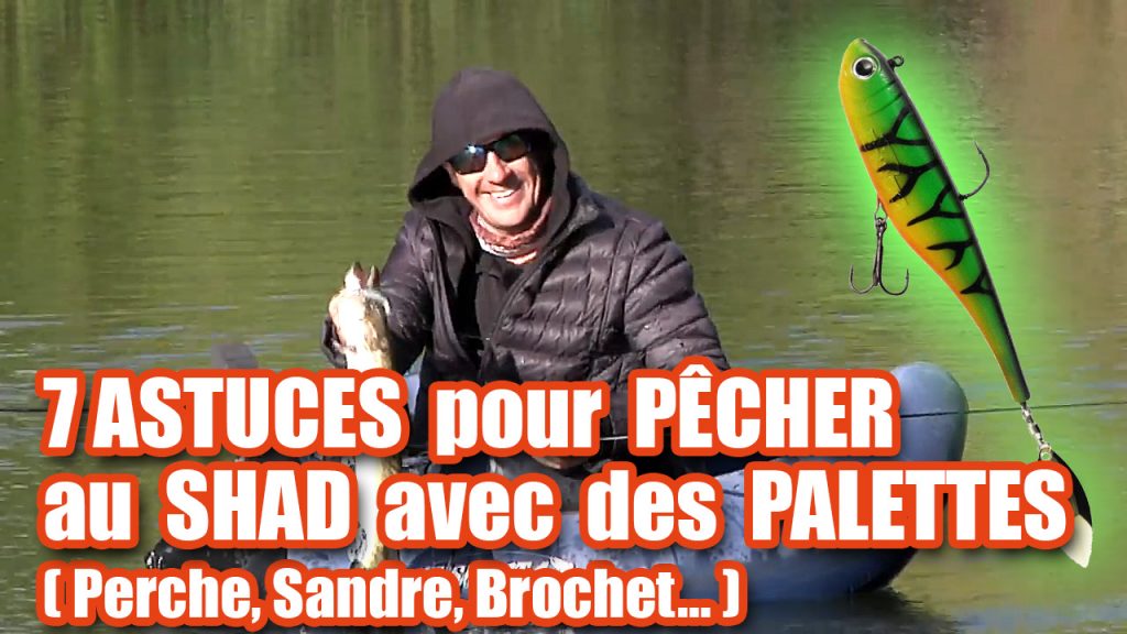 7 ASTUCES pour PÊCHER au SHAD avec des PALETTES