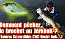 Comment pêcher le brochet au Jerkbait ?