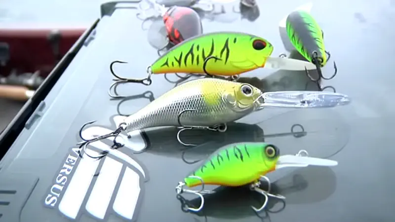 leurre crankbait